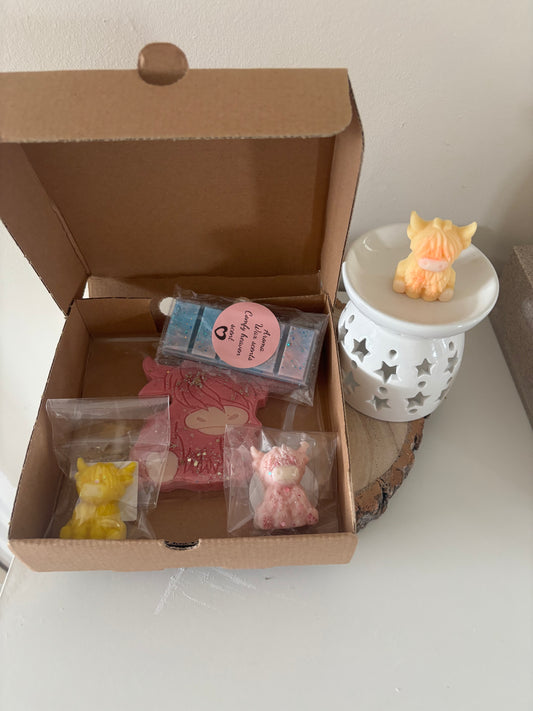 Highland Cow Mystery Box